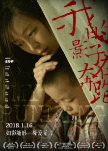 神秘博士第五季