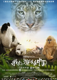 骏梦游戏秦时明月官网